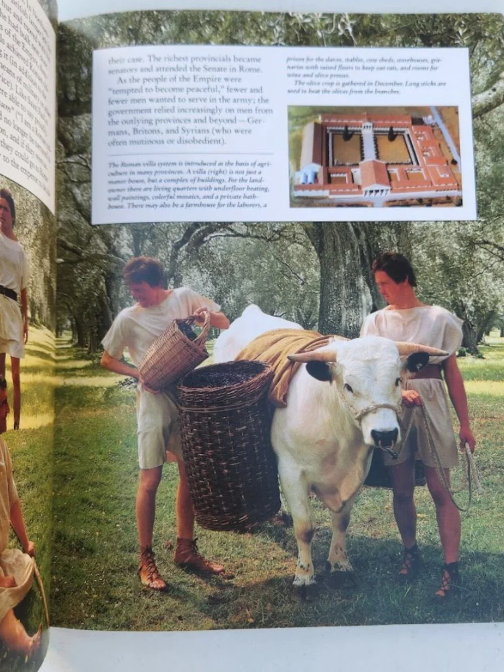 Scholastic classical rome